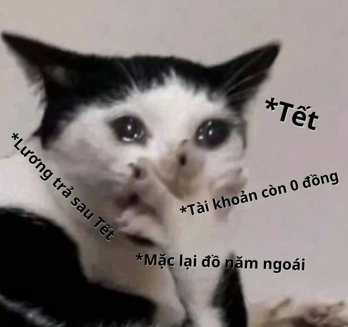 meme hết tiền