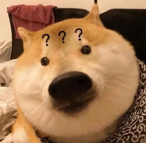 meme hoang mang chó mèo