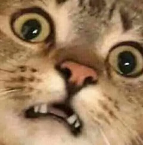 meme hoảng hốt