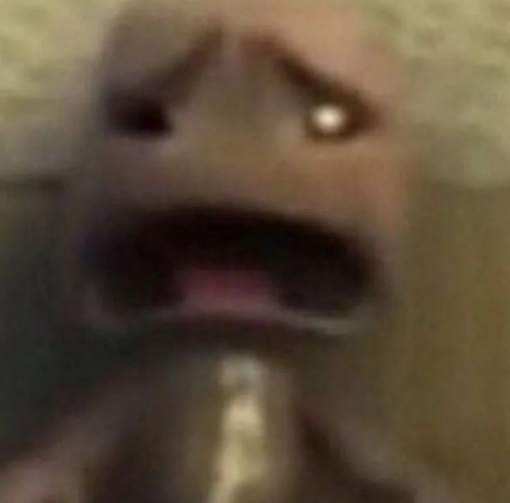 meme hoảng hốt
