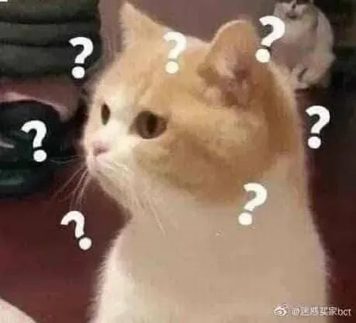 meme hoang mang chó mèo