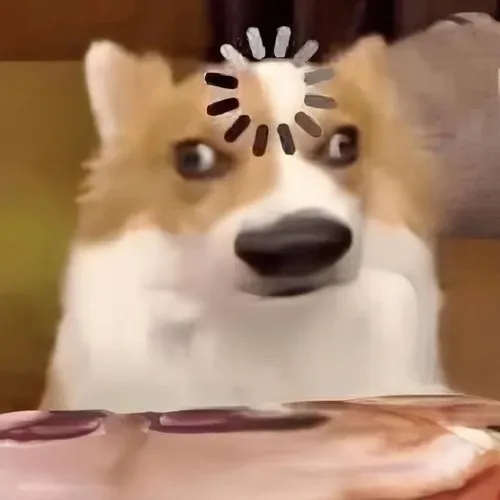 meme hoang mang chó mèo