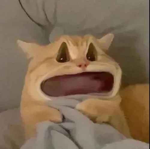 meme hoảng hốt