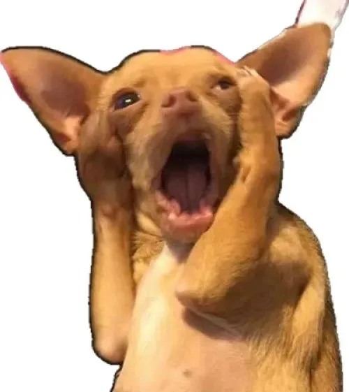 meme hoảng hốt