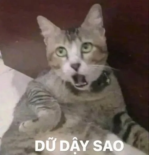 meme khinh