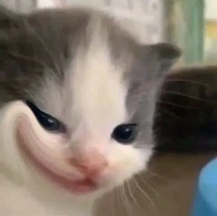 meme nhếch mép