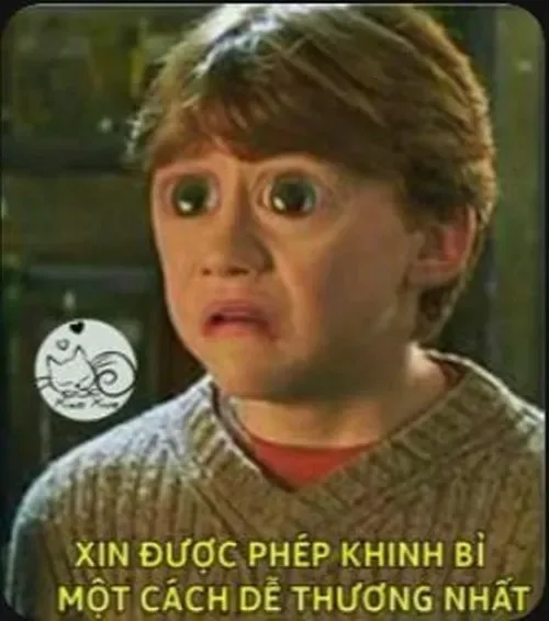 meme khinh
