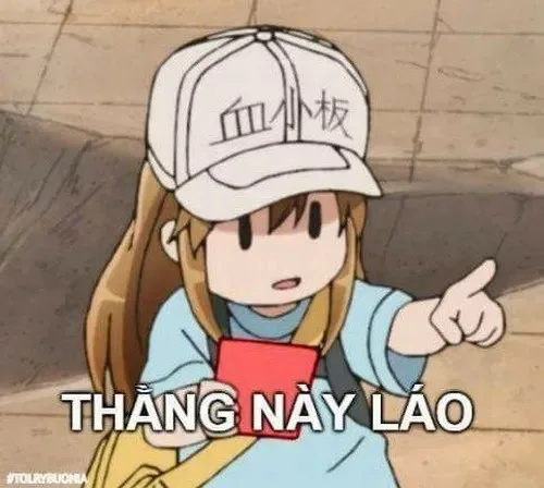 meme khinh bỉ anime