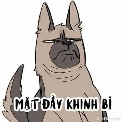 meme khinh bỉ anime