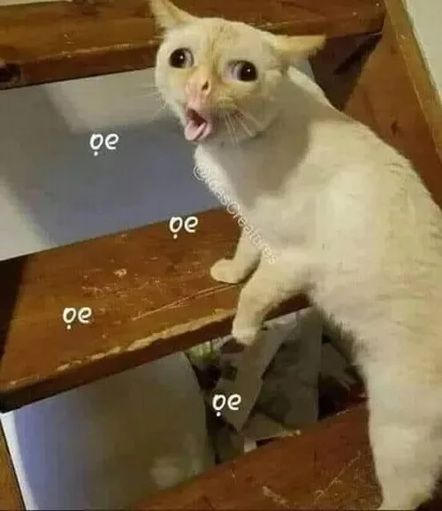 mặt khinh bỉ meme