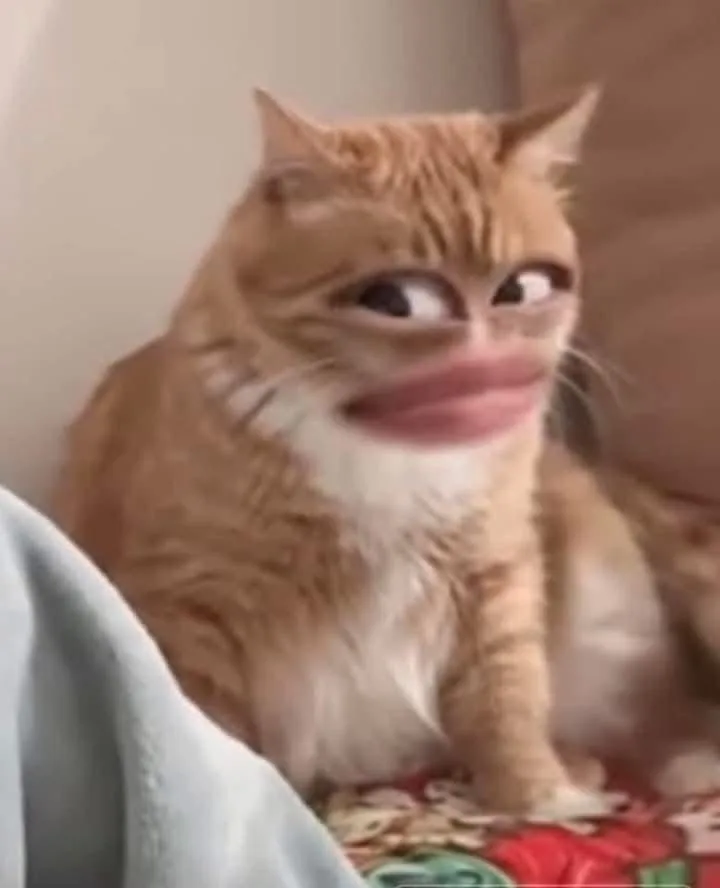 meme nhếch mép