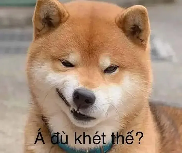 meme nhếch mép