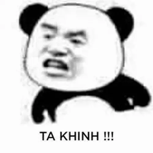 meme khinh