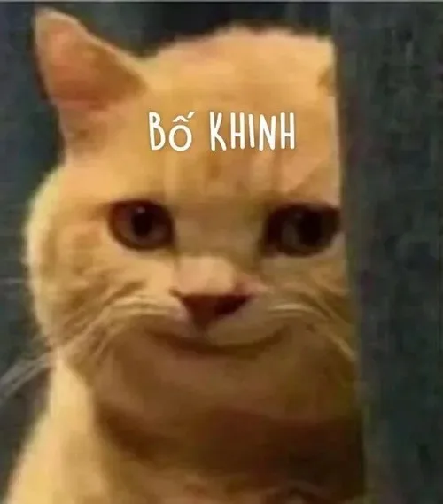 meme khinh
