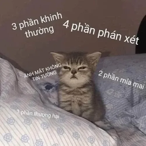 meme khinh