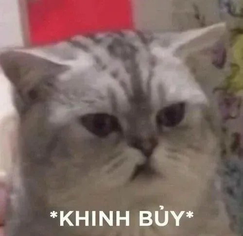 meme khinh