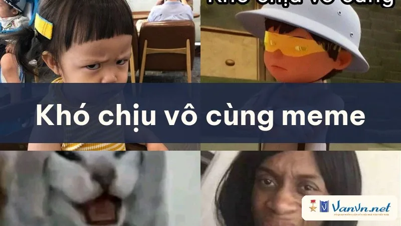 khó chịu vô cùng meme