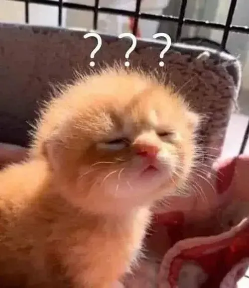 khó hiểu meme