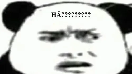 meme khó hiểu