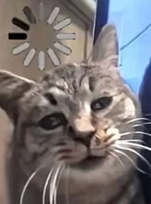 meme khó hiểu quá