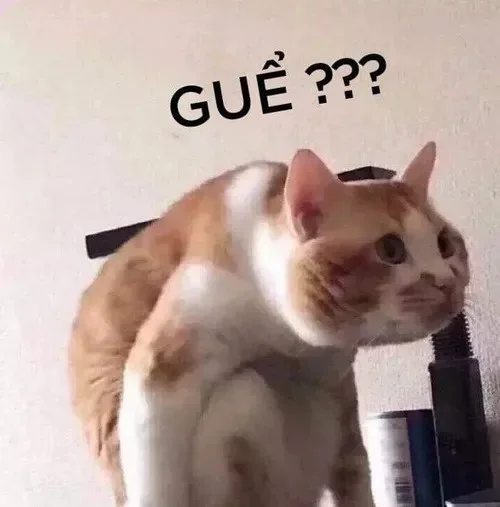 khó hiểu meme
