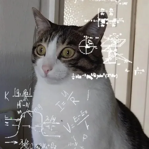meme khó hiểu vô cùng