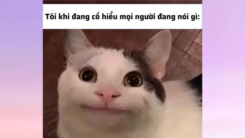 khó hiểu meme