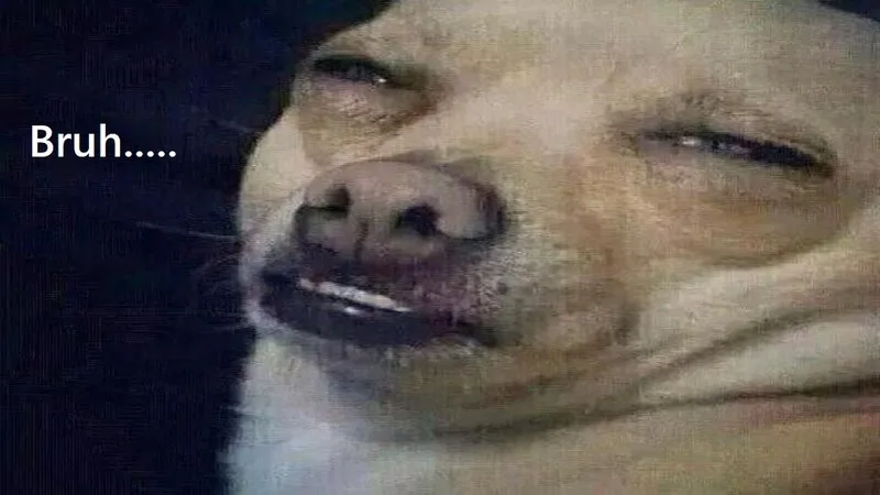 khó hiểu meme