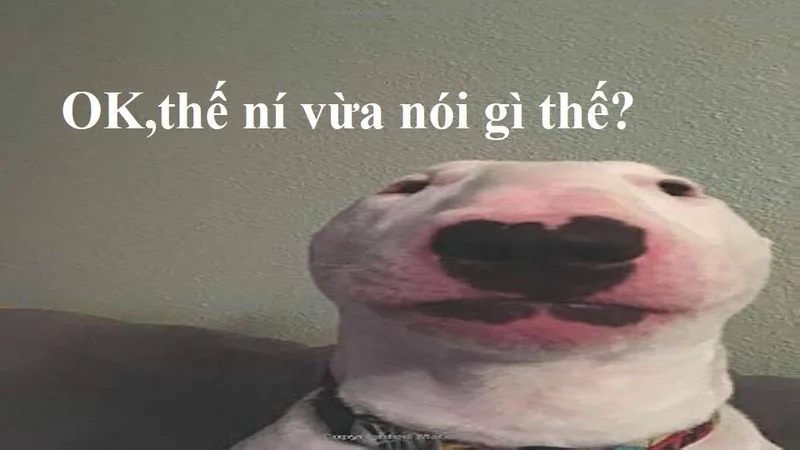 khó hiểu meme
