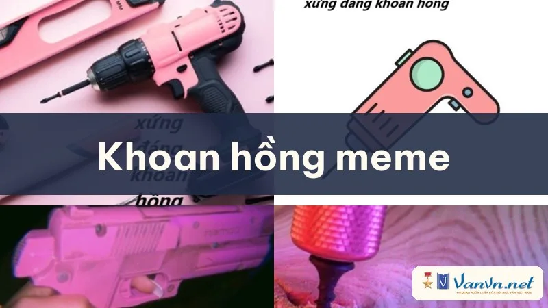 khoan hồng meme