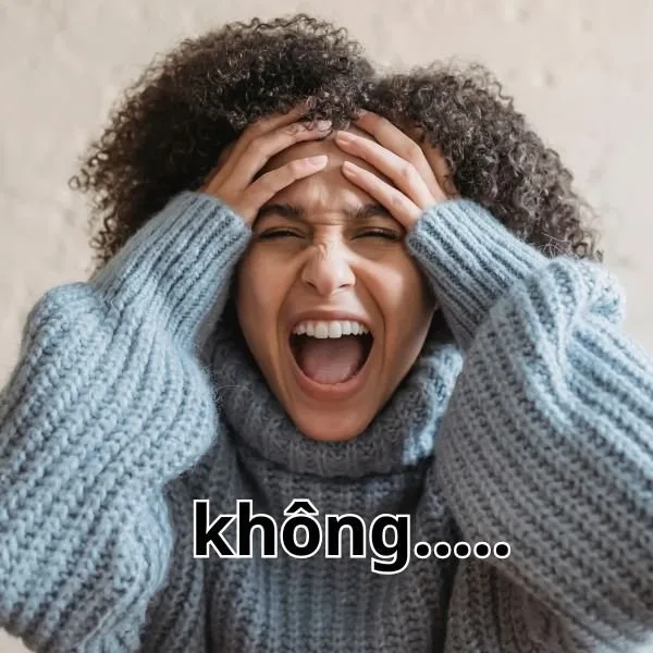 ảnh meme không