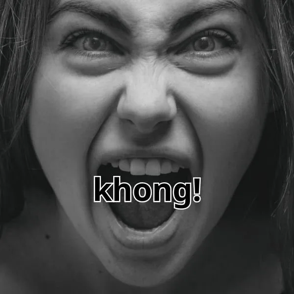 ảnh meme không