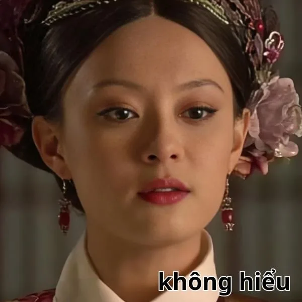 meme không hiểu