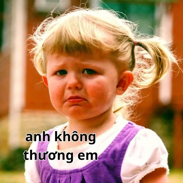 ảnh meme không