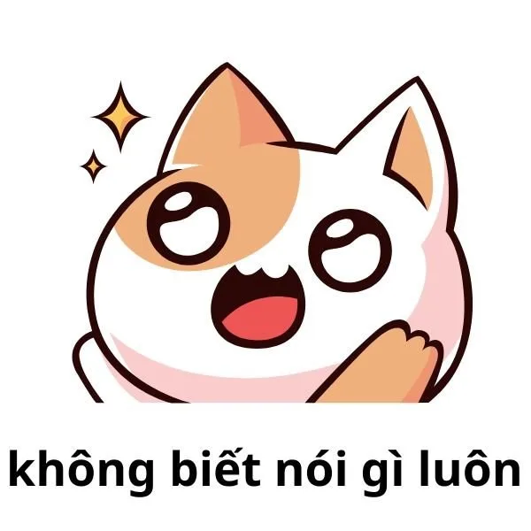 meme không hiểu