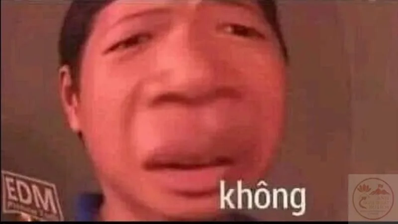 ảnh meme không