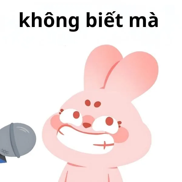 meme không hiểu