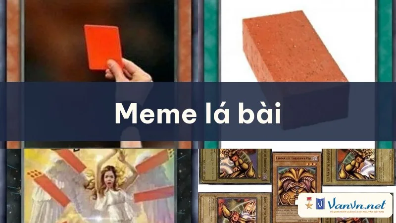 meme lá bài