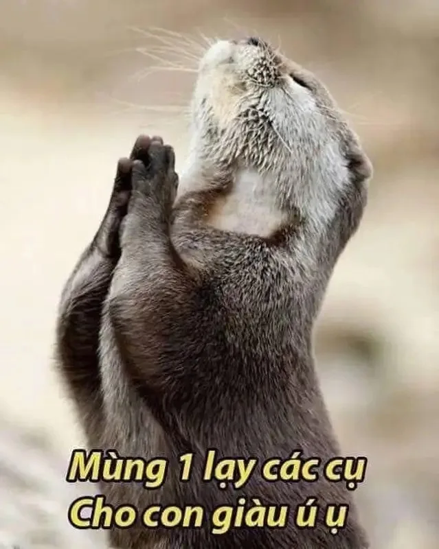 meme lạy