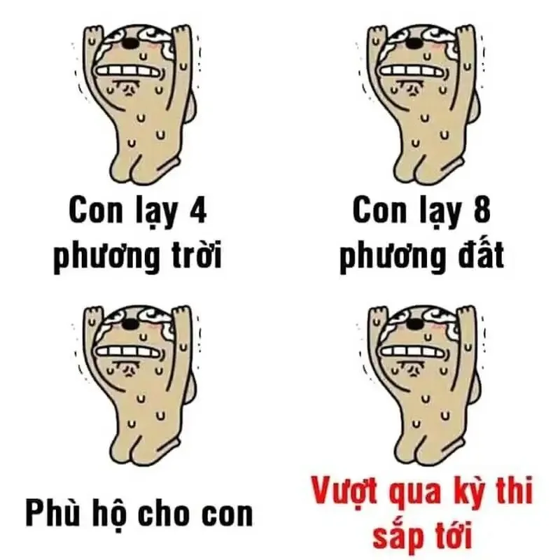 meme lạy