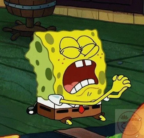 meme lạy