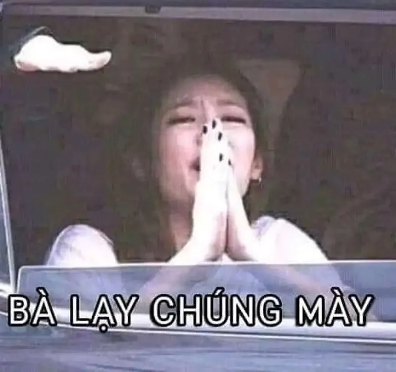 meme lạy