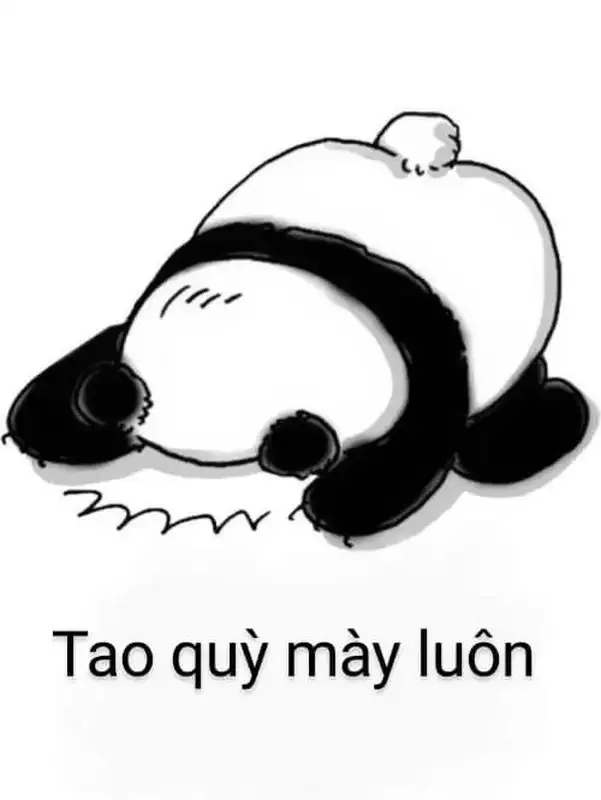 meme lạy