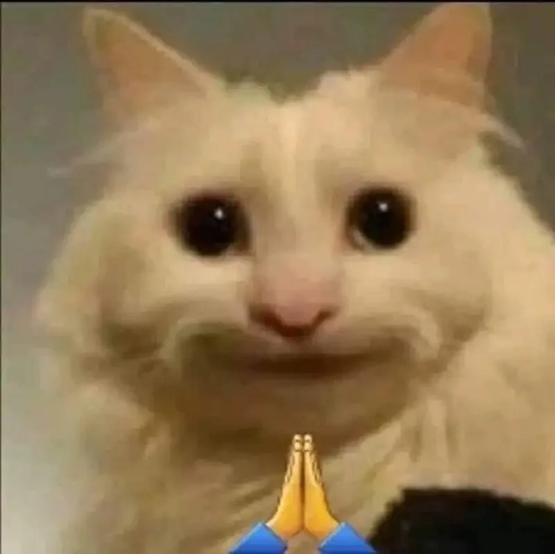 meme lạy