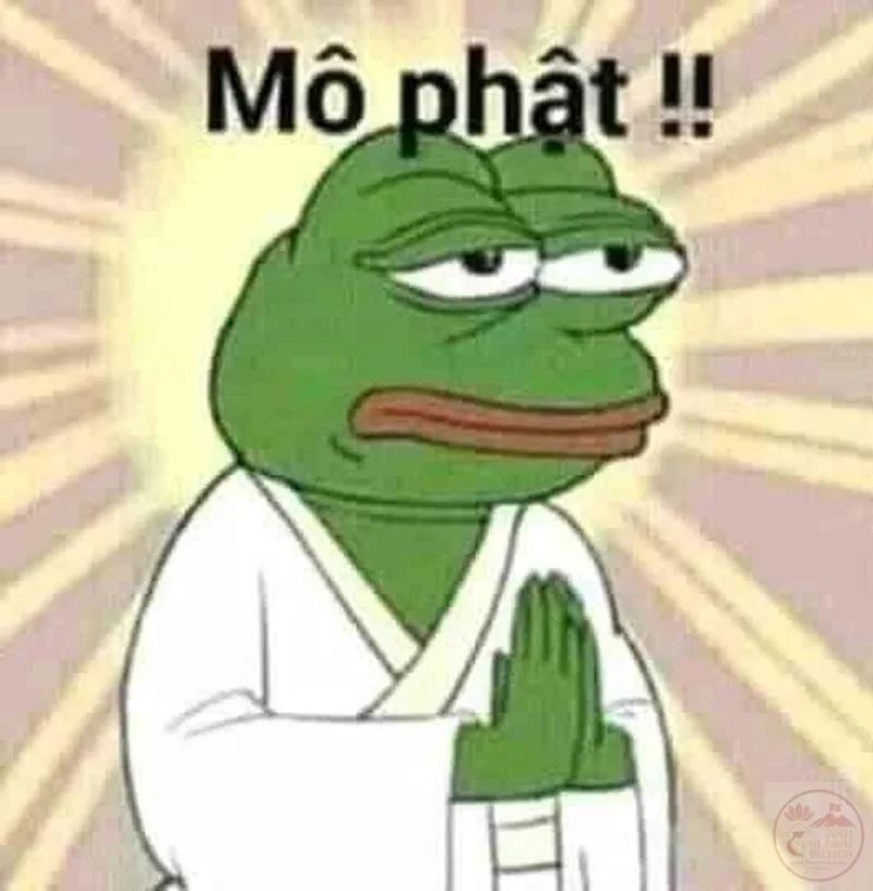 meme lạy