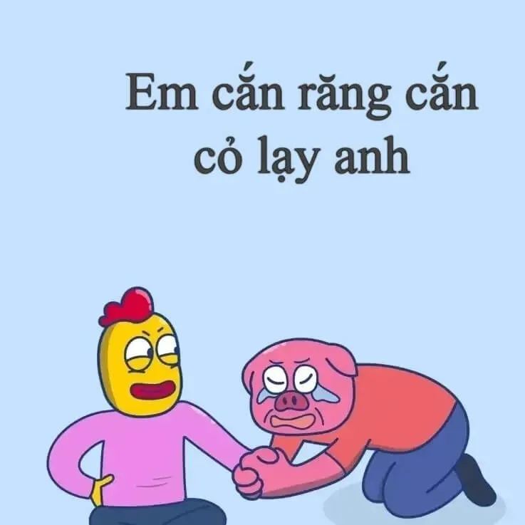 meme lạy