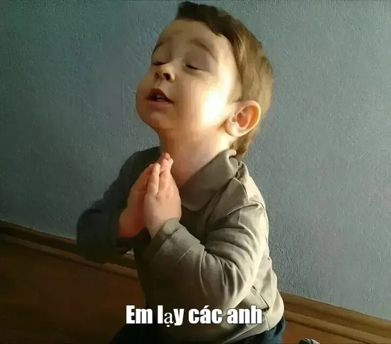 meme lạy