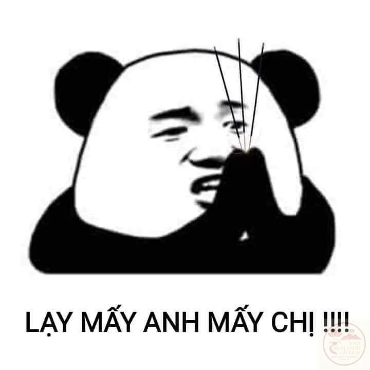 meme lạy