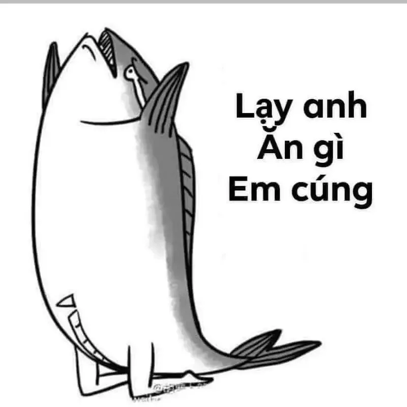 meme lạy