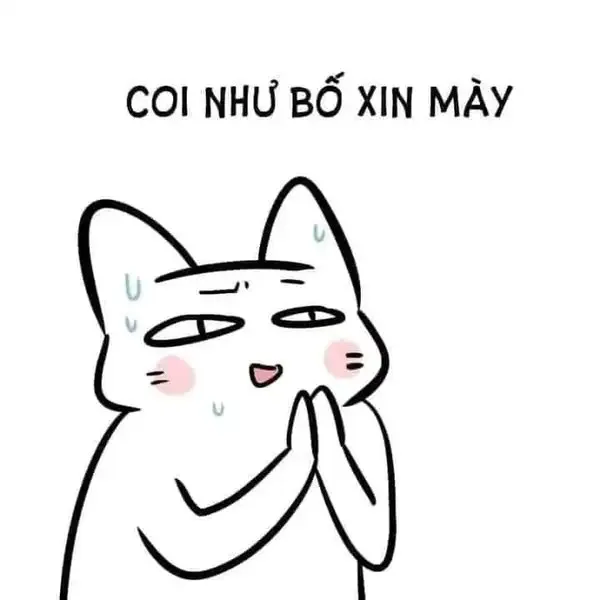 meme lạy